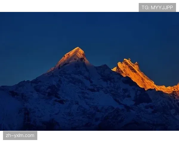 汉堡中场洛孔加踝关节韧带撕裂，东佩跟腱受伤左路进攻瘫痪